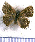  ( - JFDA5050)  @11 [ ] by-nc-sa (2025) Jean F. Le Crom Jean F. Le Crom