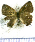  ( - JFDA5090)  @11 [ ] by-nc-sa (2025) Jean F. Le Crom Jean F. Le Crom