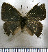  ( - JFDA5094)  @11 [ ] by-nc-sa (2025) Jean F. Le Crom Jean F. Le Crom