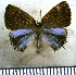  ( - JFDA5108)  @11 [ ] by-nc-sa (2025) Jean F. Le Crom Jean F. Le Crom