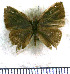  ( - JFDA5113)  @11 [ ] by-nc-sa (2025) Jean F. Le Crom Jean F. Le Crom