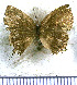  ( - JFDA5116)  @11 [ ] by-nc-sa (2025) Jean F. Le Crom Jean F. Le Crom