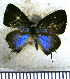  ( - JFDA5121)  @11 [ ] by-nc-sa (2025) Jean F. Le Crom Jean F. Le Crom