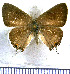  ( - JFDA5147)  @11 [ ] by-nc-sa (2025) Jean F. Le Crom Jean F. Le Crom