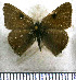  ( - JFDA5188)  @11 [ ] copyright (2025) Center For Collection-Based Research Center For Collection-Based Research