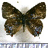  ( - JFDA5195)  @11 [ ] copyright (2025) Center For Collection-Based Research Center For Collection-Based Research