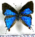  ( - JFDA5202)  @11 [ ] copyright (2025) Center For Collection-Based Research Center For Collection-Based Research
