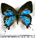  ( - JFDA5204)  @11 [ ] copyright (2025) Center For Collection-Based Research Center For Collection-Based Research