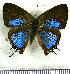  ( - JFDA5205)  @11 [ ] copyright (2025) Center For Collection-Based Research Center For Collection-Based Research