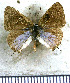  ( - JFDA5209)  @11 [ ] copyright (2025) Center For Collection-Based Research Center For Collection-Based Research