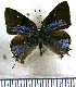  ( - JFDA5211)  @11 [ ] copyright (2025) Center For Collection-Based Research Center For Collection-Based Research