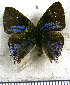  ( - JFDA5212)  @11 [ ] copyright (2025) Center For Collection-Based Research Center For Collection-Based Research