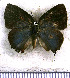 ( - JFDA5239)  @11 [ ] copyright (2025) Center For Collection-Based Research Center For Collection-Based Research