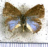  ( - JFDA5243)  @11 [ ] copyright (2025) Center For Collection-Based Research Center For Collection-Based Research