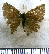  ( - JFDA5257)  @11 [ ] copyright (2025) Center For Collection-Based Research Center For Collection-Based Research