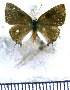  ( - JFDA5283)  @11 [ ] copyright (2025) Center For Collection-Based Research Center For Collection-Based Research