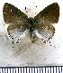  ( - JFDA5284)  @11 [ ] copyright (2025) Center For Collection-Based Research Center For Collection-Based Research