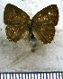  ( - JFDA5291)  @11 [ ] copyright (2025) Center For Collection-Based Research Center For Collection-Based Research