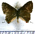  ( - JFDA5292)  @11 [ ] copyright (2025) Center For Collection-Based Research Center For Collection-Based Research