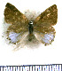 ( - JFDA5294)  @11 [ ] copyright (2025) Center For Collection-Based Research Center For Collection-Based Research