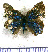  ( - JFDA5298)  @11 [ ] copyright (2025) Center For Collection-Based Research Center For Collection-Based Research