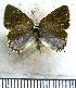  ( - JFDA5302)  @11 [ ] copyright (2025) Center For Collection-Based Research Center For Collection-Based Research