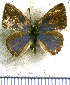  ( - JFDA5303)  @11 [ ] copyright (2025) Center For Collection-Based Research Center For Collection-Based Research