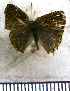  ( - JFDA5304)  @11 [ ] copyright (2025) Center For Collection-Based Research Center For Collection-Based Research