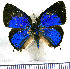  ( - JFDA5318)  @11 [ ] copyright (2025) Center For Collection-Based Research Center For Collection-Based Research