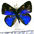  ( - JFDA5320)  @11 [ ] copyright (2025) Center For Collection-Based Research Center For Collection-Based Research