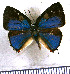  ( - JFDA5325)  @11 [ ] copyright (2025) Center For Collection-Based Research Center For Collection-Based Research