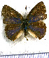  ( - JFDA5326)  @11 [ ] copyright (2025) Center For Collection-Based Research Center For Collection-Based Research