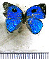  ( - JFDA5343)  @11 [ ] copyright (2025) Center For Collection-Based Research Center For Collection-Based Research