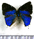  ( - JFDA5368)  @11 [ ] copyright (2025) Center For Collection-Based Research Center For Collection-Based Research