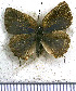  ( - JFDA5369)  @11 [ ] copyright (2025) Center For Collection-Based Research Center For Collection-Based Research