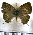  ( - JFDA5392)  @11 [ ] copyright (2025) Center For Collection-Based Research Center For Collection-Based Research