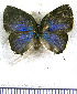  ( - JFDA5393)  @11 [ ] copyright (2025) Center For Collection-Based Research Center For Collection-Based Research
