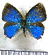  ( - JFDA5394)  @11 [ ] copyright (2025) Center For Collection-Based Research Center For Collection-Based Research