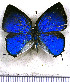  ( - JFDA5395)  @11 [ ] copyright (2025) Center For Collection-Based Research Center For Collection-Based Research
