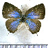  ( - JFDA5396)  @11 [ ] copyright (2025) Center For Collection-Based Research Center For Collection-Based Research