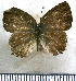  ( - JFDA5397)  @11 [ ] copyright (2025) Center For Collection-Based Research Center For Collection-Based Research