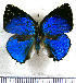  ( - JFDA5426)  @11 [ ] copyright (2025) Center For Collection-Based Research Center For Collection-Based Research