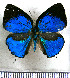  ( - JFDA5427)  @11 [ ] copyright (2025) Center For Collection-Based Research Center For Collection-Based Research