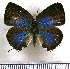  ( - JFDA5428)  @11 [ ] copyright (2025) Center For Collection-Based Research Center For Collection-Based Research