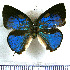  ( - JFDA5429)  @11 [ ] copyright (2025) Center For Collection-Based Research Center For Collection-Based Research
