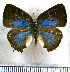  ( - JFDA5430)  @11 [ ] copyright (2025) Center For Collection-Based Research Center For Collection-Based Research