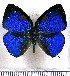  ( - JFDA5431)  @11 [ ] copyright (2025) Center For Collection-Based Research Center For Collection-Based Research