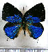  ( - JFDA5432)  @11 [ ] copyright (2025) Center For Collection-Based Research Center For Collection-Based Research