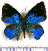  ( - JFDA5444)  @11 [ ] copyright (2025) Center For Collection-Based Research Center For Collection-Based Research