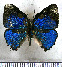  ( - JFDA5445)  @11 [ ] copyright (2025) Center For Collection-Based Research Center For Collection-Based Research